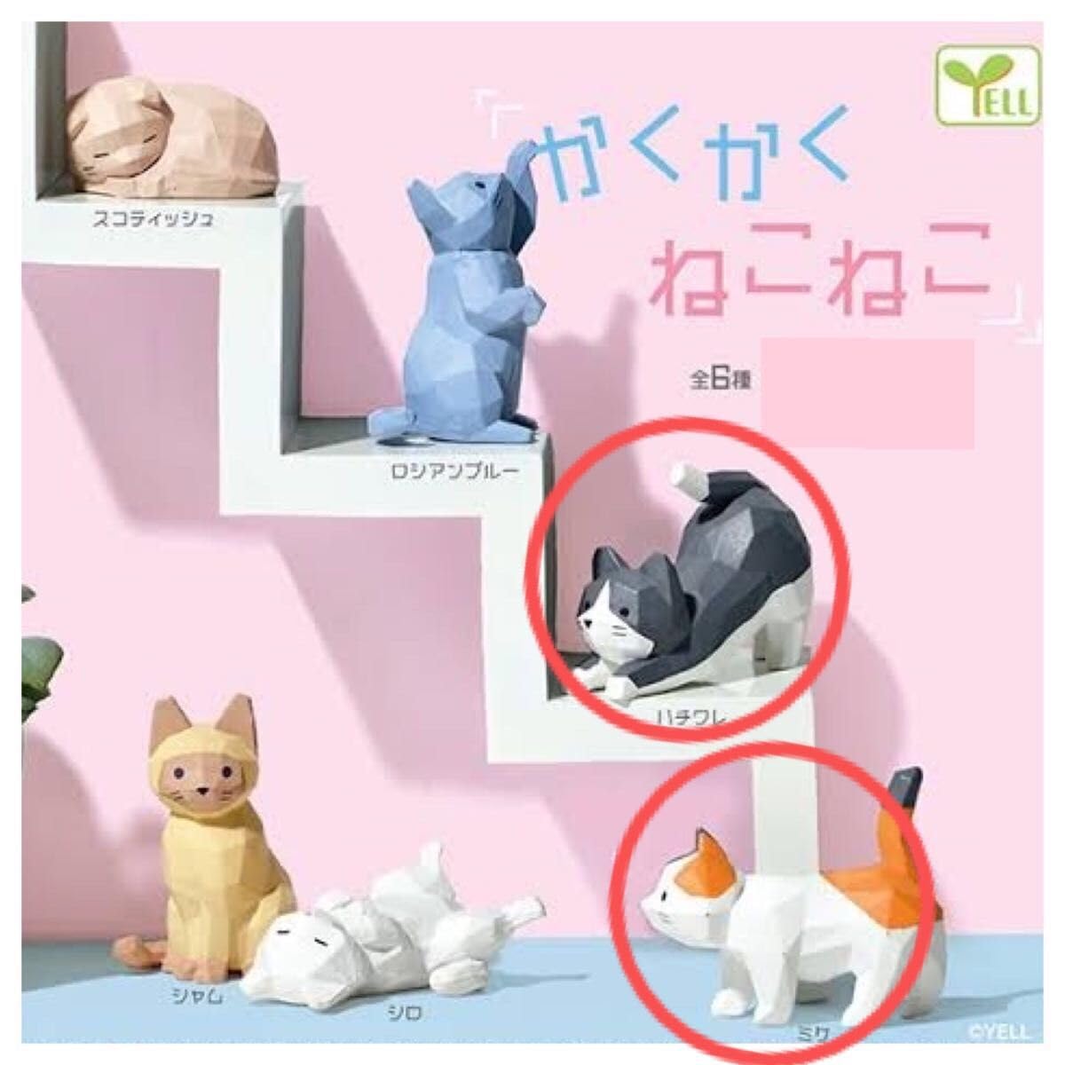 ミケねこ sddefault.jpg